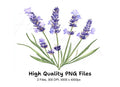 Elegant Lavender Graphics Clipart Bundle