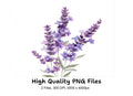 Lavender Flower Clipart Bundle