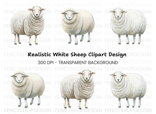 Adorable White Sheep Clipart Bundle