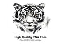 Majestic Tiger Head Black and White Clipart Bundle