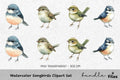 Songbirds Clipart Bundle