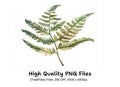 Autumnal Fern Clipart Bundle