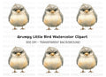 Furious Chick Illustration Clipart Bundle