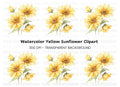 Yellow Daisy Clipart Bundle