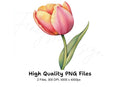 Elegant Pink and Yellow Tulip Clipart Bundle