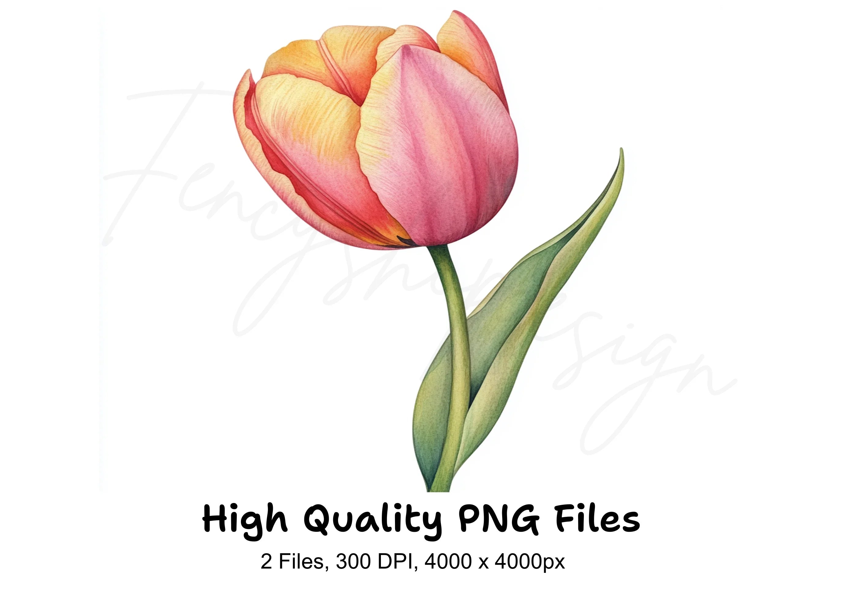 Elegant Pink and Yellow Tulip Clipart Bundle
