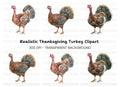 Thanksgiving Turkey Clipart Bundle