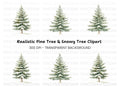 Snowy Pine Trees Clipart Bundle