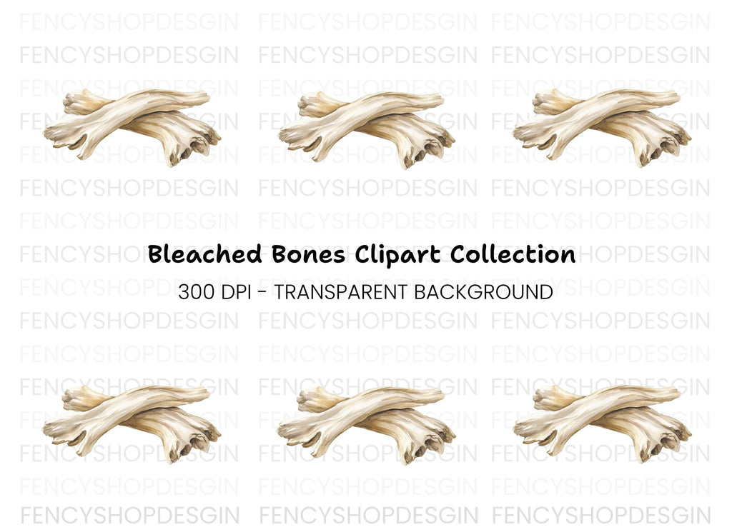 White Washed Driftwood Clipart Bundle