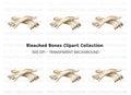 White Washed Driftwood Clipart Bundle