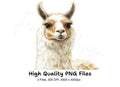 Charming Llama Portraits Clipart Bundle