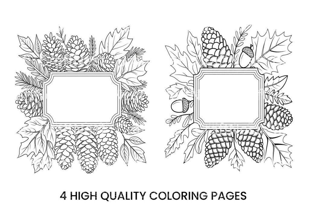 Pine Cone Leaf Frame Coloring Books