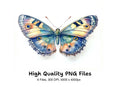 Vibrant Butterfly Clipart Bundle