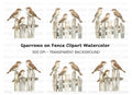 Sparrows on Rustic Fence Clipart Bundle