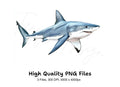 Great White Shark Clipart Bundle