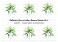Elegant Green Hellebore Flower Clipart Bundle