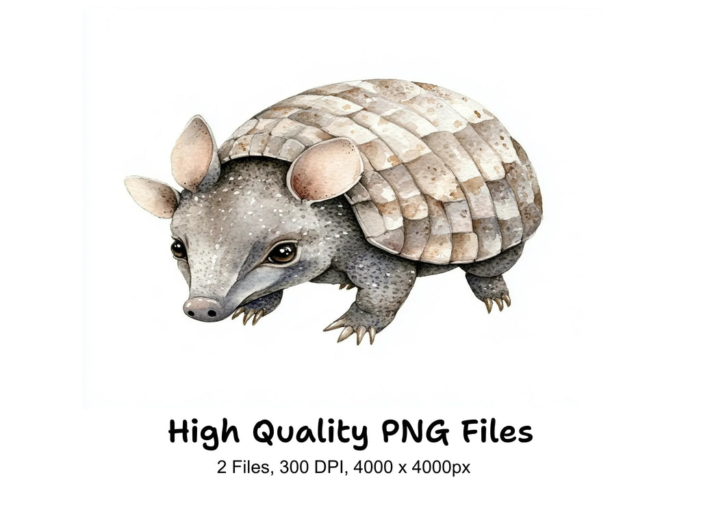 Cute Armadillo Clipart Bundle