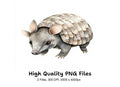 Cute Armadillo Clipart Bundle