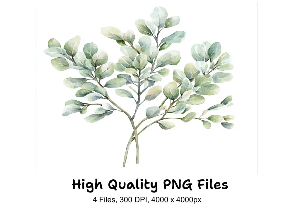 Eucalyptus Leaves Clipart Bundle
