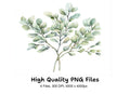 Eucalyptus Leaves Clipart Bundle