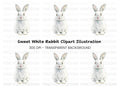 Cute White Rabbit Illustration Clipart Bundle