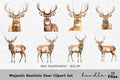 Majestic Realistic Deer Clipart Bundle