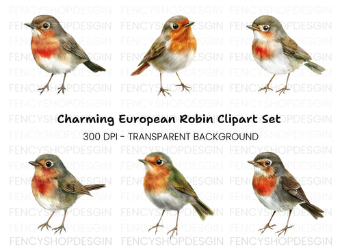 Adorable Robin Bird Clipart Bundle