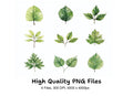 Diverse Green Leaves Clipart Bundle