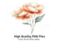 Elegant Peach Peony Clipart Bundle