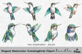 Elegant Hummingbirds Clipart Bundle
