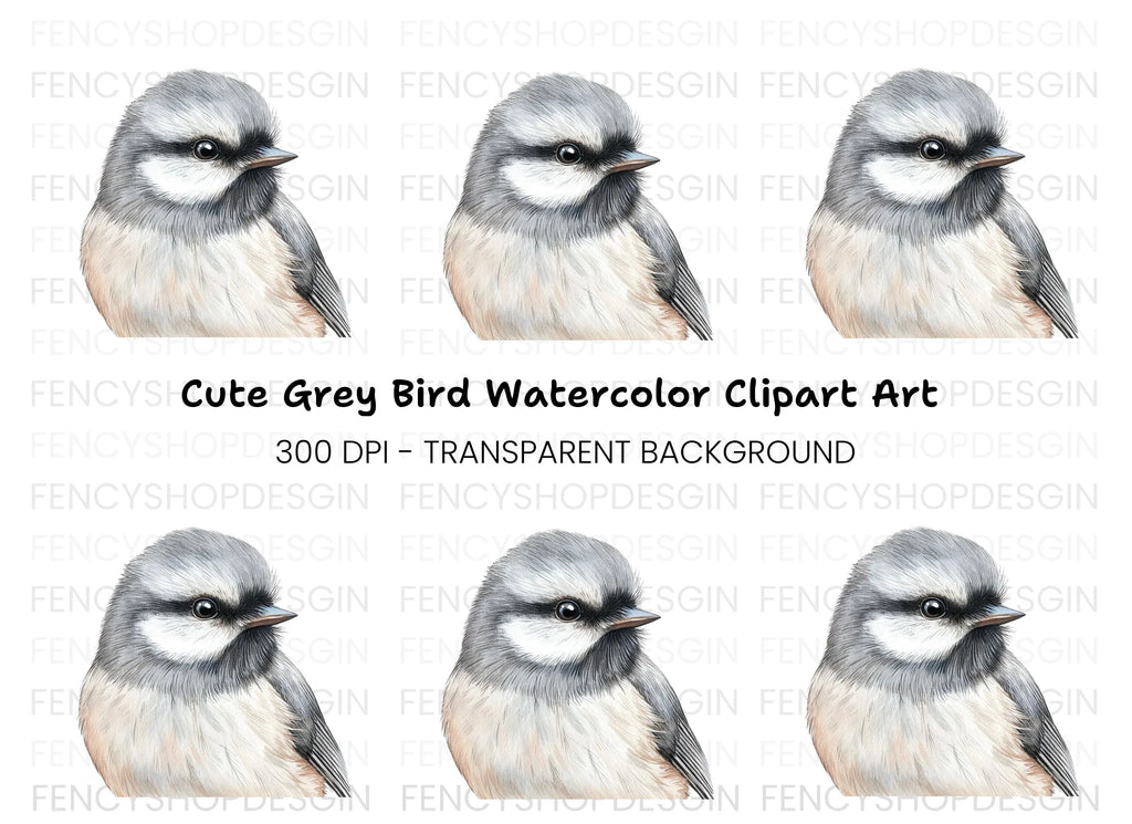 Detailed Bird Head Illustration Clipart Bundle