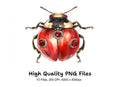 Jeweled Beetle Clipart Bundle