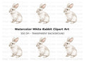 Cute White Bunny Rabbit Clipart Bundle