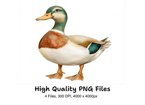 Adorable Duck Clipart Bundle