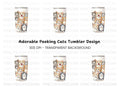 Playful Kitten Faces Clipart Bundle