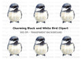 Cute Chickadee Bird Clipart Bundle