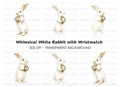White Rabbit Holding Wristwatch Clipart Bundle