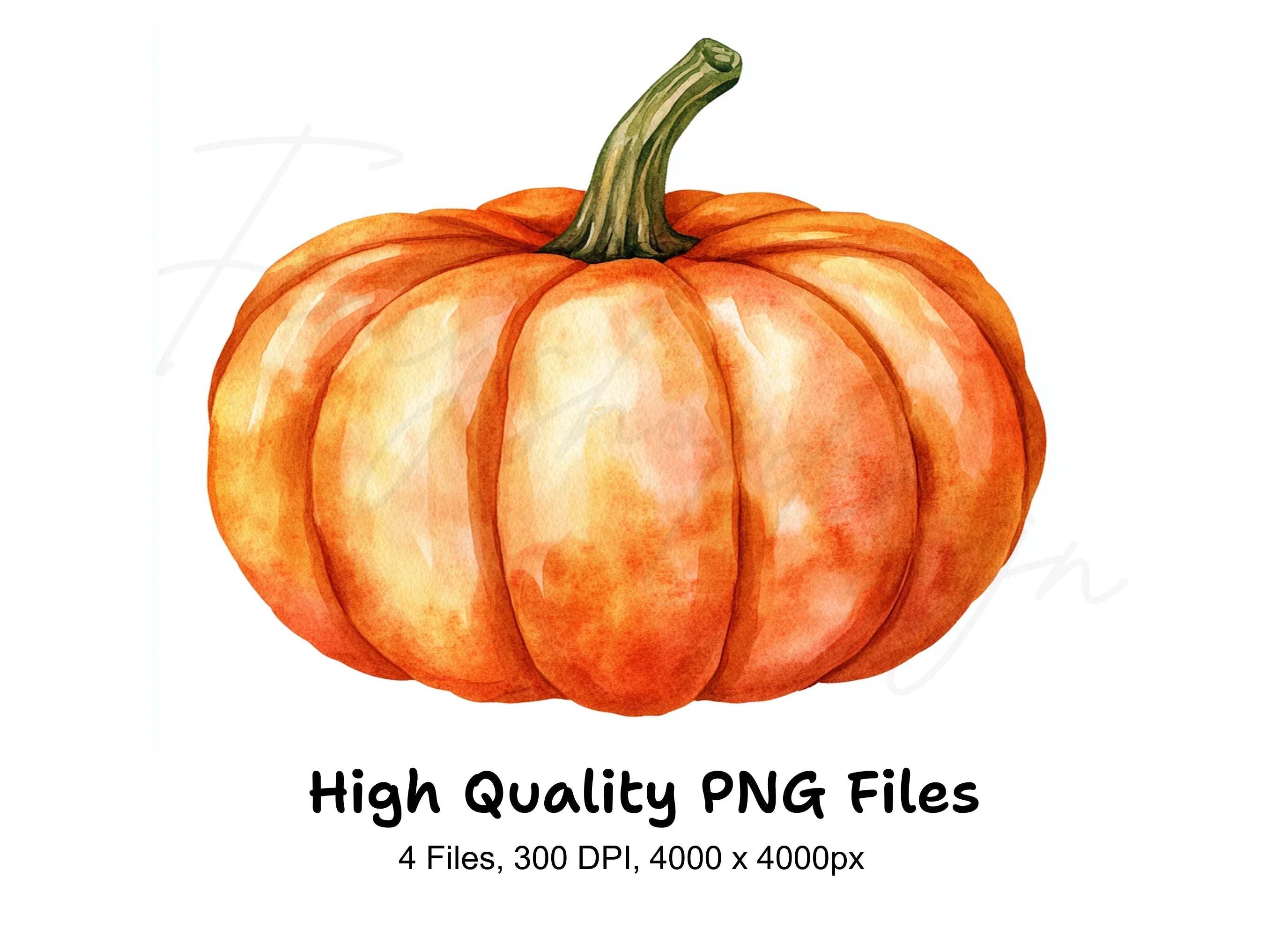 Pumpkin Clipart Bundle