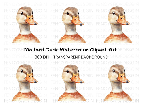 Adorable Duck Head Clipart Bundle