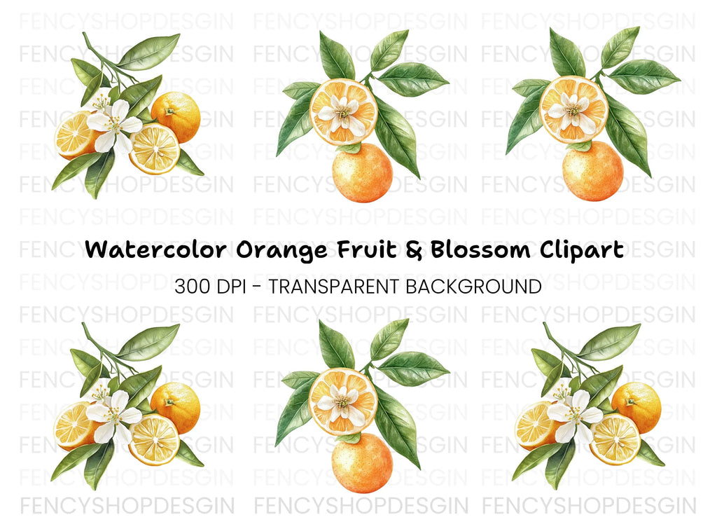 Citrus Fruit Blossom Clipart Bundle