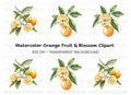 Citrus Fruit Blossom Clipart Bundle