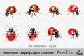 Ladybug Clipart Bundle