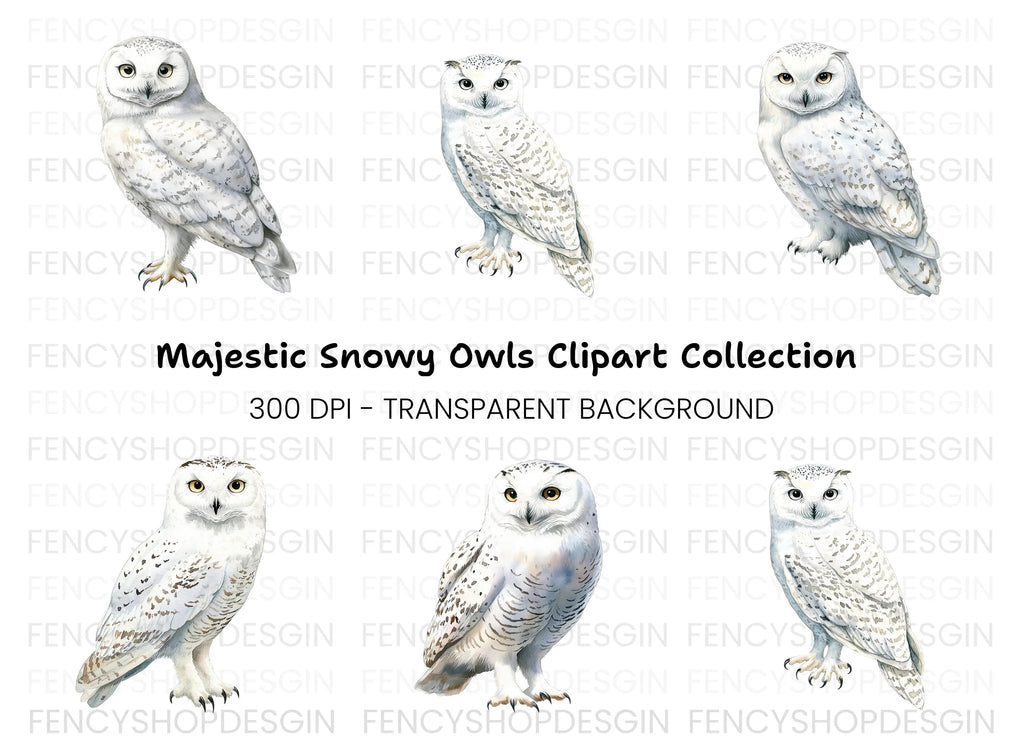 Elegant Snowy Owl Clipart Bundle