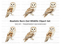 Realistic Barn Owl Clipart Bundle