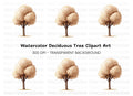 Tree Brown Tones Clipart Bundle
