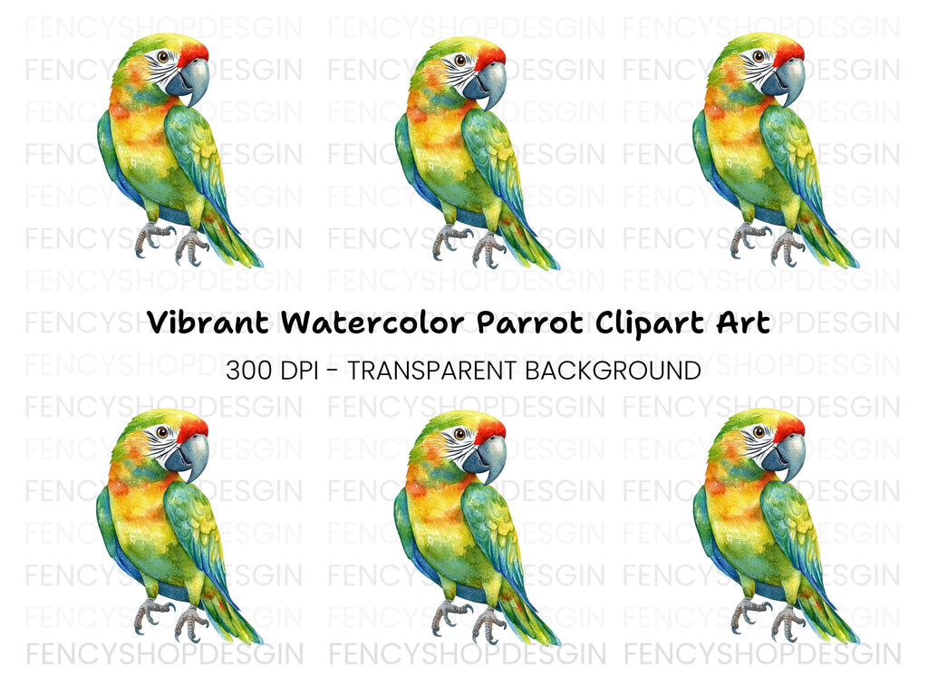 Vibrant Parrot Clipart Bundle