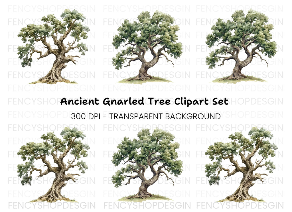 Ancient Oak Tree Clipart Bundle