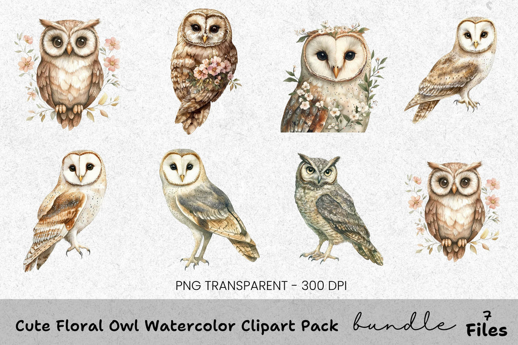 Cute Floral Owl Clipart Bundle