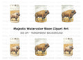 Buffalo Tumbler Clipart Bundle