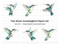 Hummingbird Clipart Bundle